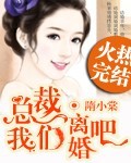 【完】总裁，我们离婚吧