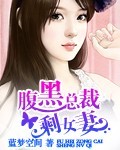 腹黑总裁剩女妻