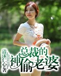 总裁的神偷老婆