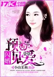 闪婚预见爱