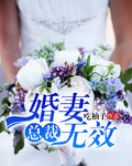 总裁婚妻无效