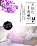 美丽的丁香花