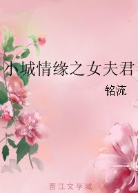 小城情缘之女夫君