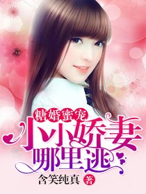 糖婚蜜宠：小小娇妻哪里逃