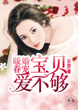 暖婚眷宠：宝贝，爱不够