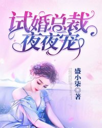 试婚总裁夜夜宠