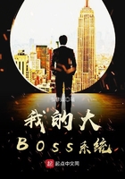 我的大BOSS系统