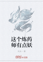 这个炼药师有点妖